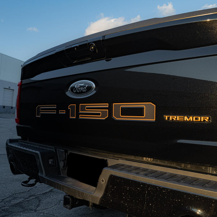 Ford F-150 Vinyl Inlay Tailgate Letters | All Patterns | 2021 - Present