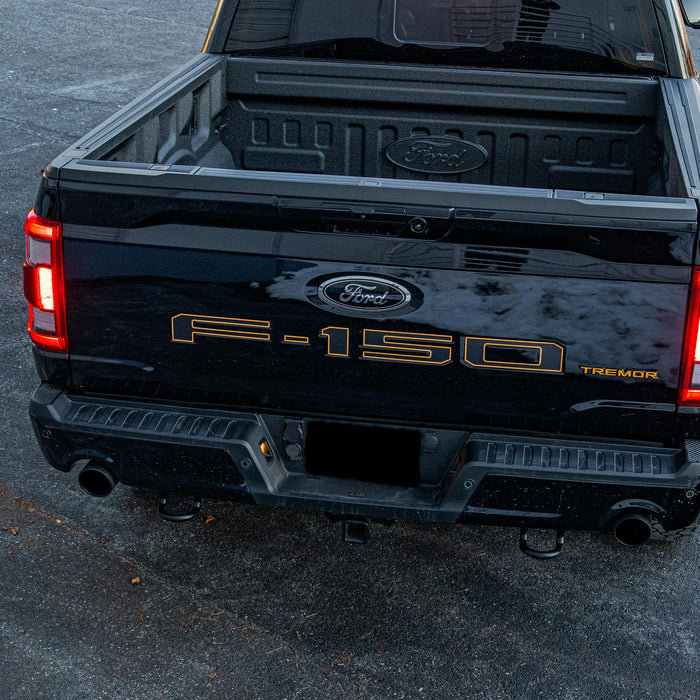 Ford F-150 Vinyl Inlay Tailgate Letters | All Patterns | 2021 - Present